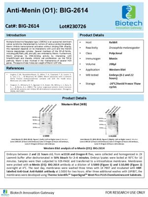 Menin antibody spec sheet thumbnail