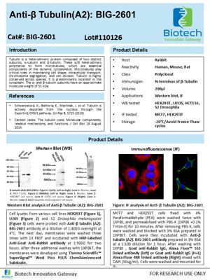 Beta-Tubulin antibody spec sheet thumbnail