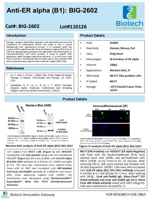 Estrogen Receptor Alpha (ERα) antibody spec sheet thumbnail