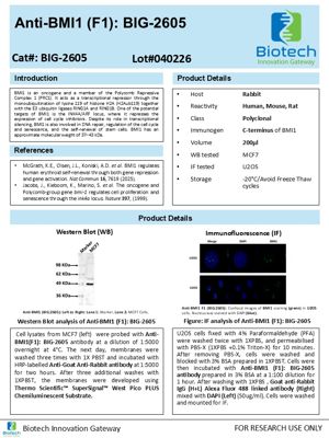 BMI1 antibody spec sheet thumbnail