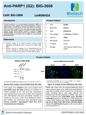 PARP1 antibody spec sheet thumbnail