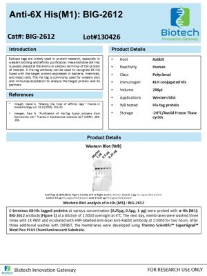 His-Tag antibody spec sheet thumbnail