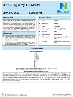 FLAG-Tag antibody spec sheet thumbnail