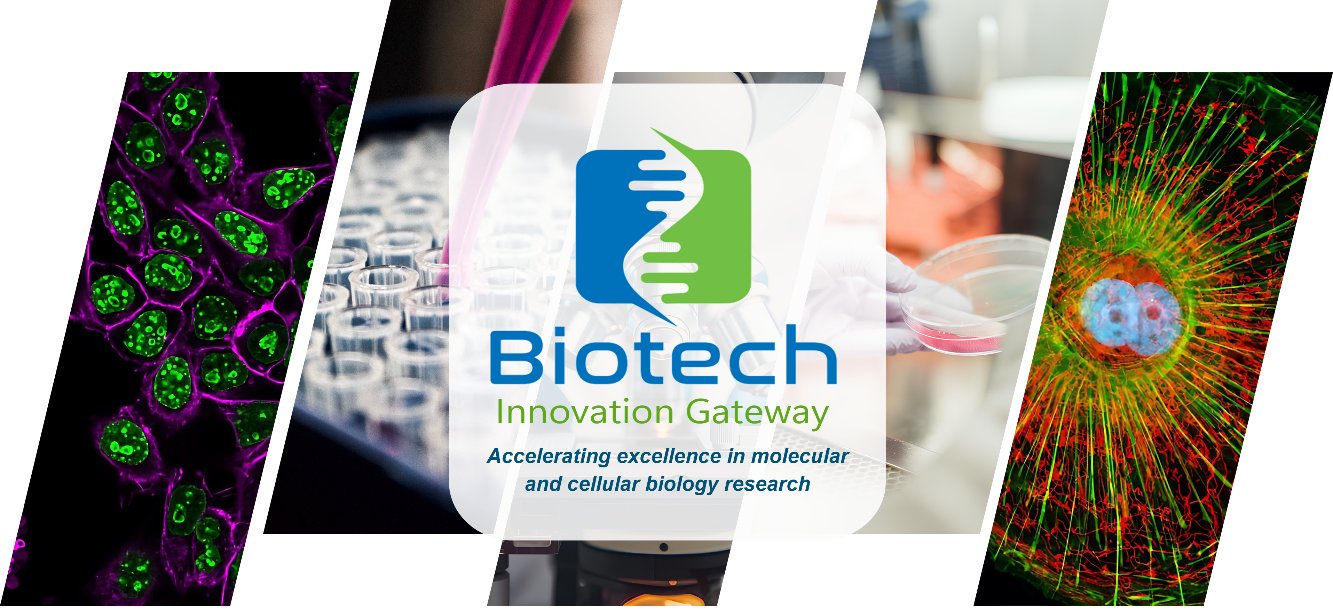Biotech Innovation Gateway